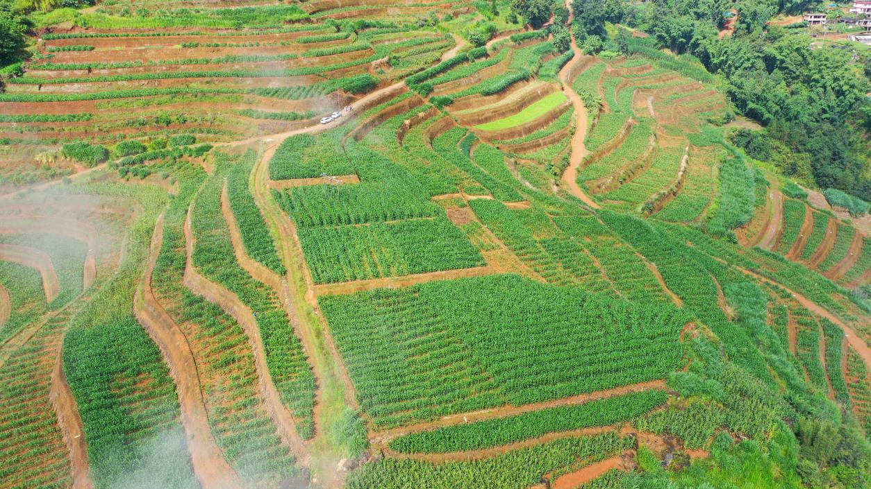 云南省西盟县2万亩高标准农田建设项目开工