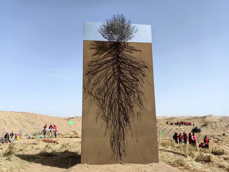 @全国网友：大家的150多万株花棒 开始种进腾格里沙漠
