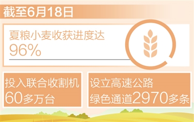 夏粮小麦收获进度达96%