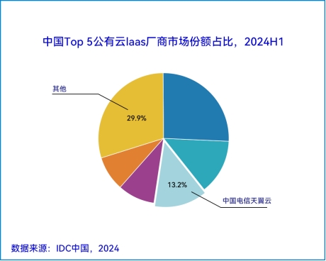 IDC发布2024H1中国公有云服务市场报告