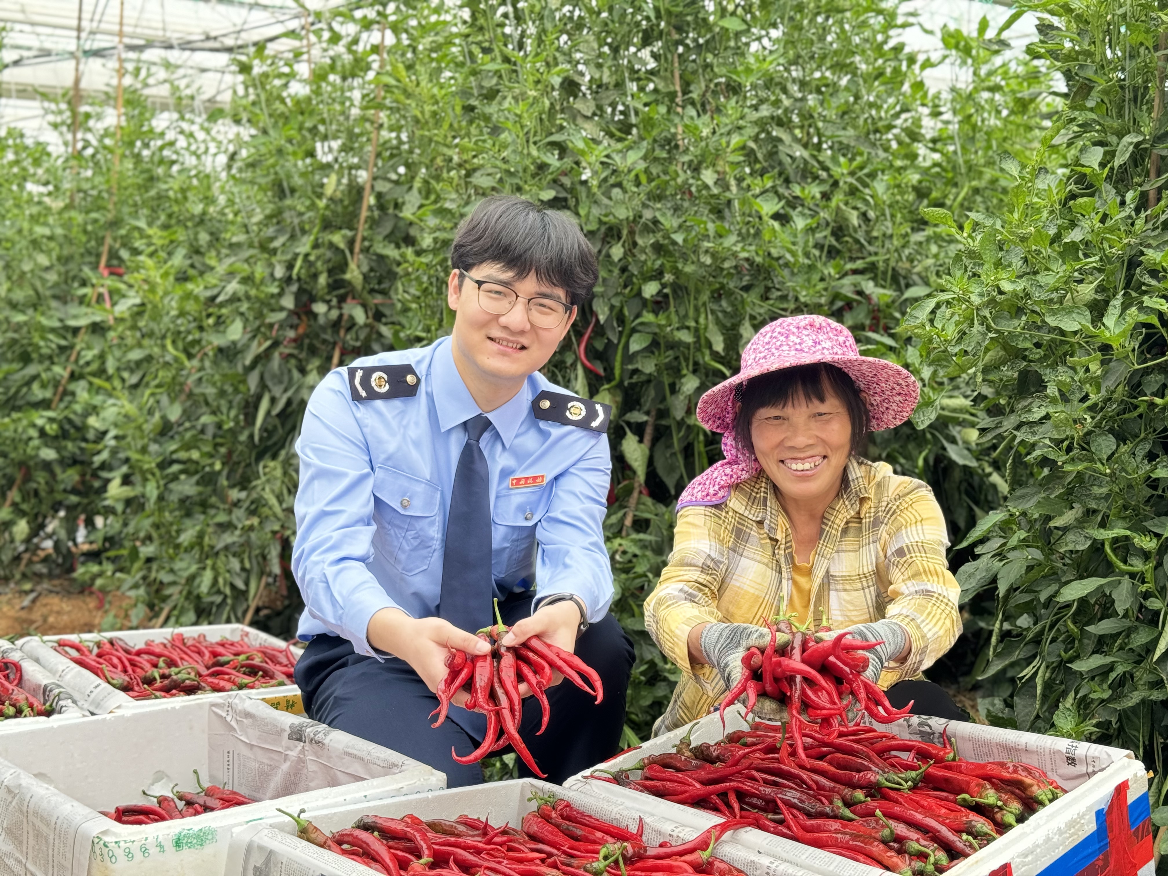 贺州税务：税惠浇灌沃土 绘就现代农业发展新画卷
