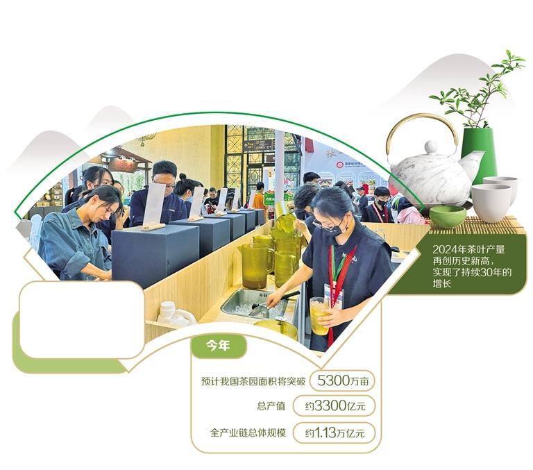 茶香飘出新韵味