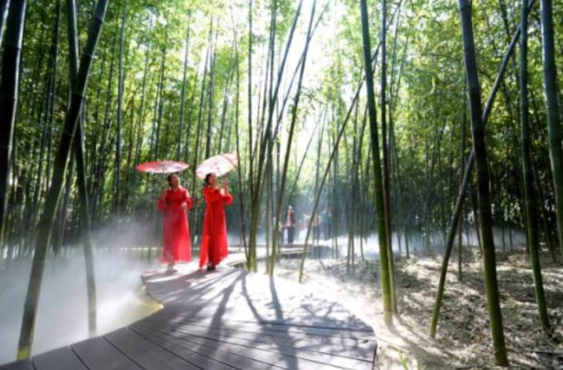 河南博爱：生态修复激活乡村“绿色经济”