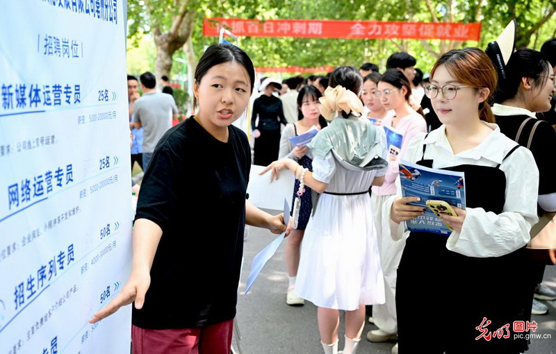 稳就业在行动丨稳就业政策持续显效 打开高质量充分就业新通道
