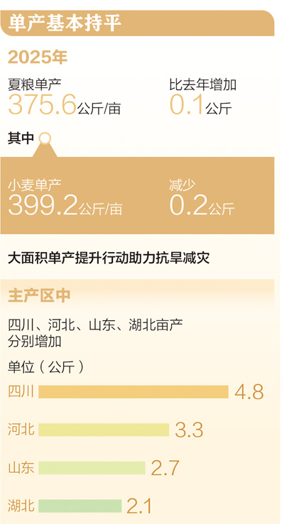 2994.8亿斤 全国夏粮稳产丰收