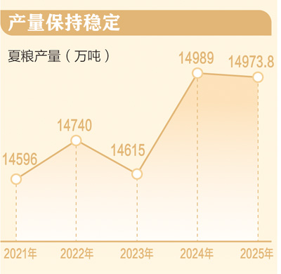 2994.8亿斤 全国夏粮稳产丰收