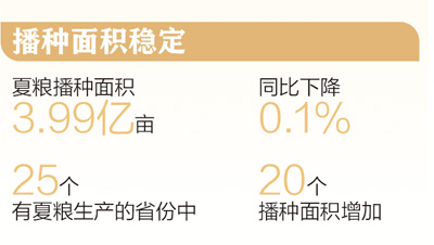 2994.8亿斤 全国夏粮稳产丰收