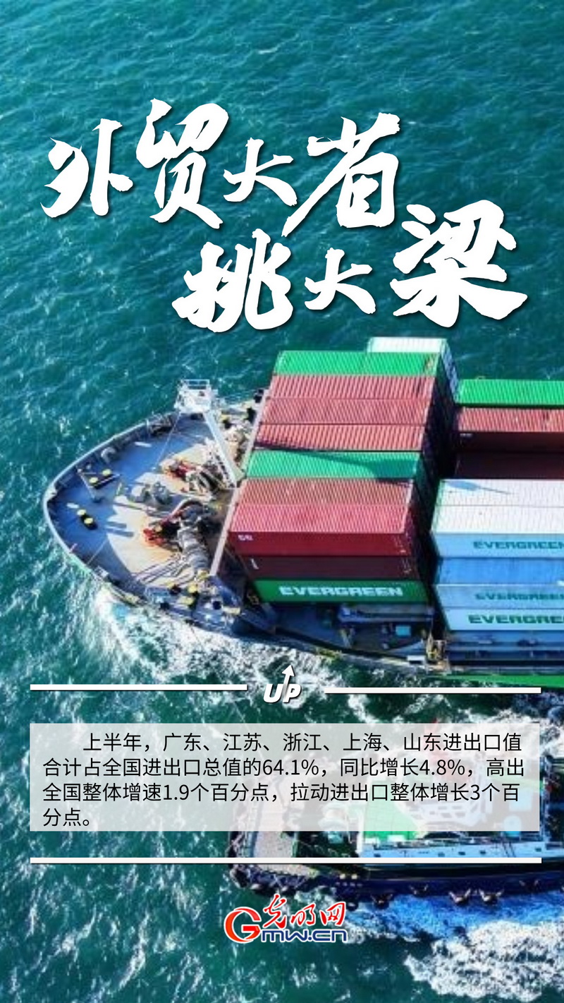 2025中国经济半年报丨外贸大省挑大梁 高水平对外开放空间更加广阔