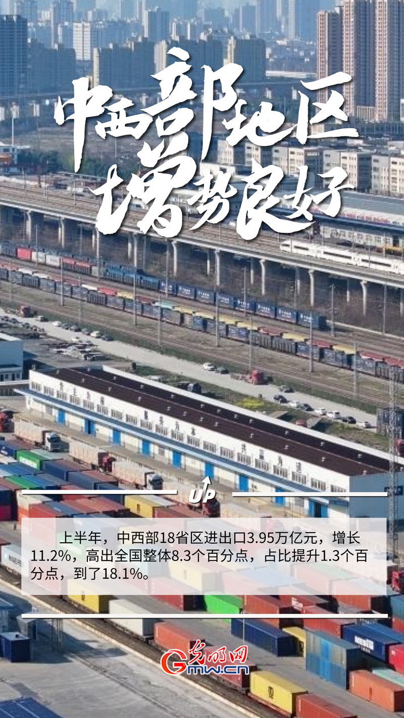 2025中国经济半年报丨外贸大省挑大梁 高水平对外开放空间更加广阔