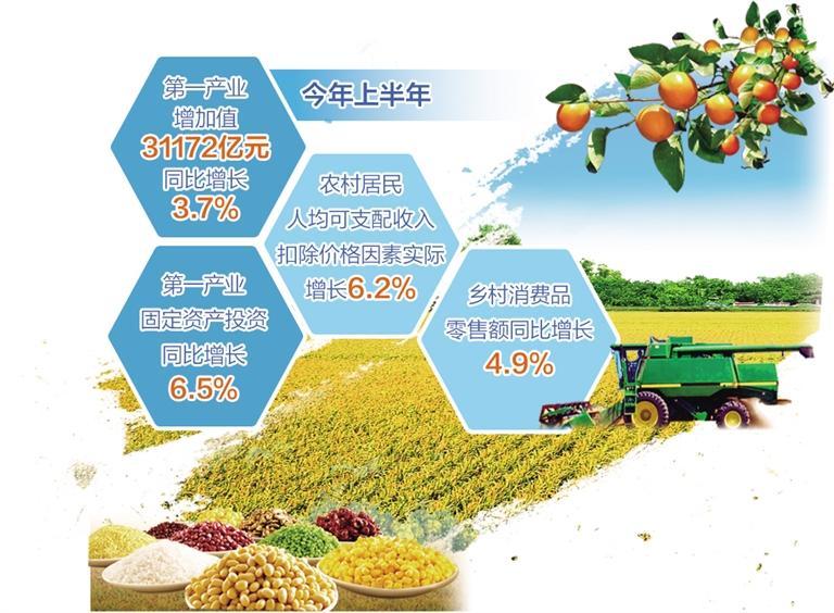 3.7% 农业保持平稳增长