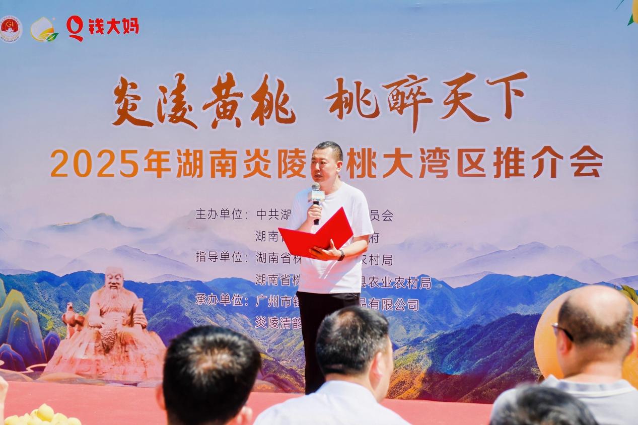 地理标志炎陵黄桃上市 “朝采暮达”重塑生鲜时速