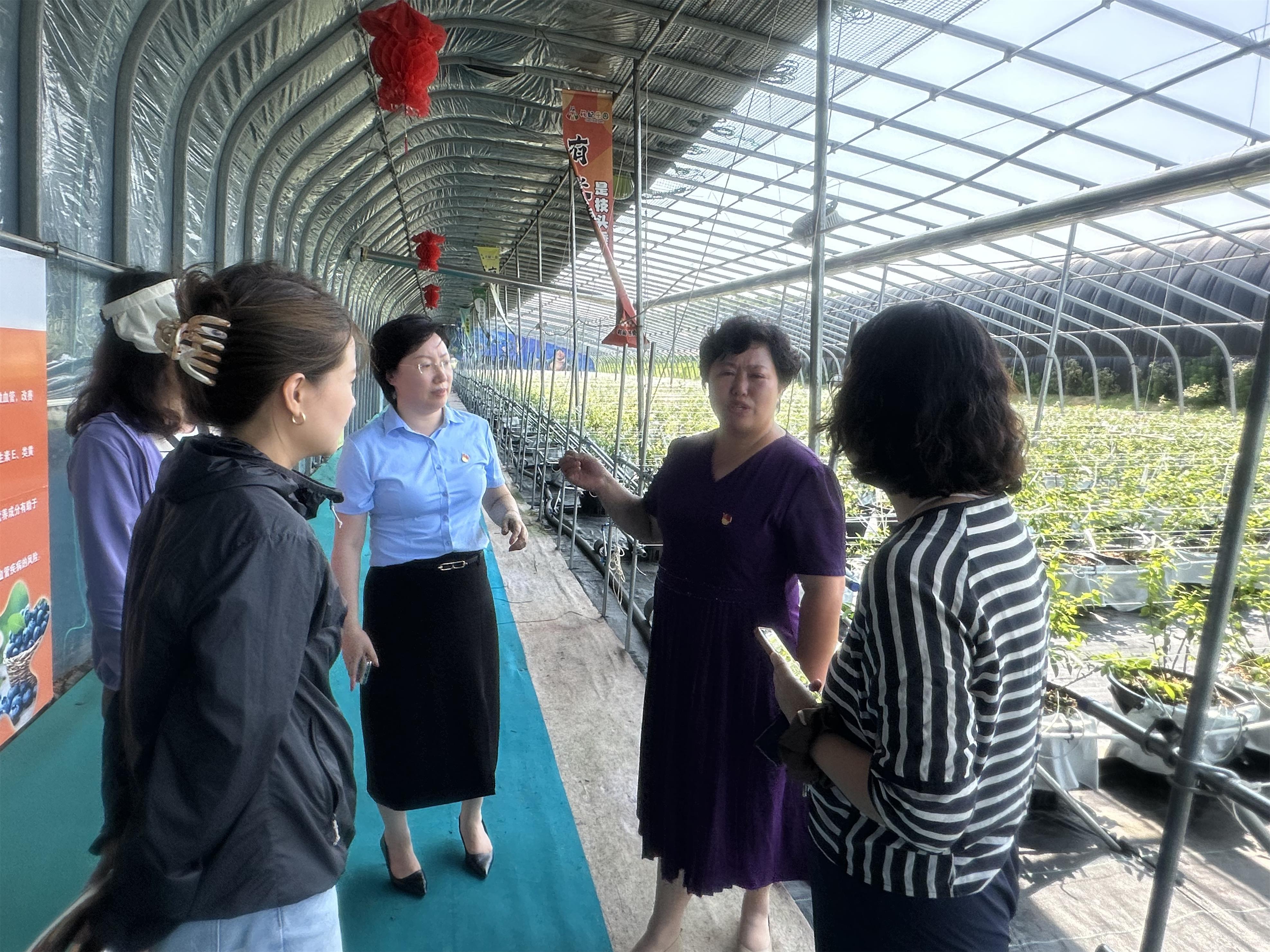 南台村：“大喇叭”传出保险“好声音”