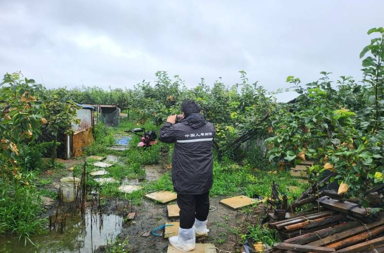防汛救灾和恢复重建正吃劲 中国人寿连续作战不停歇