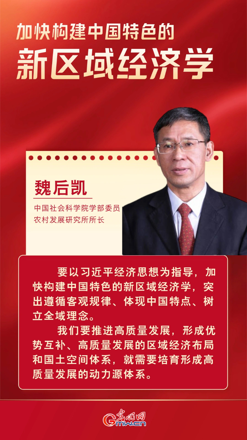 经济光明论丨魏后凯：加快构建中国特色的新区域经济学