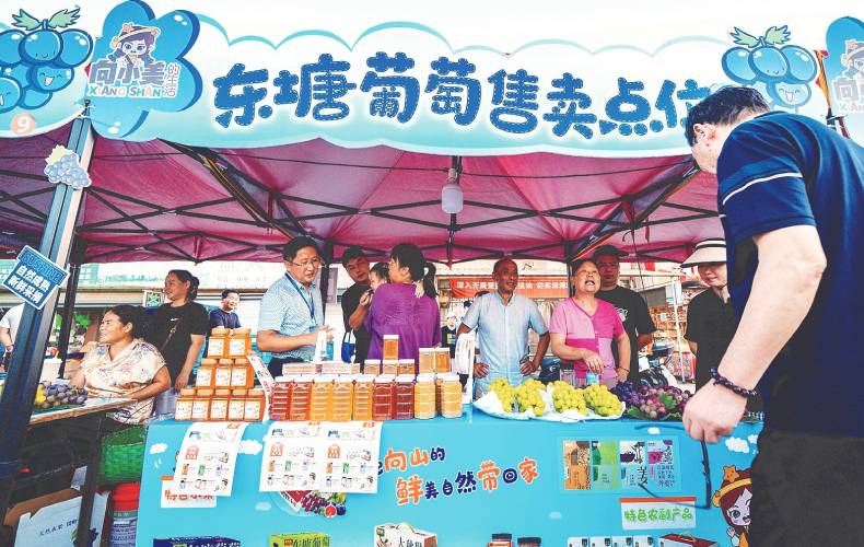马鞍山市雨山区第十三届东塘葡萄节开幕