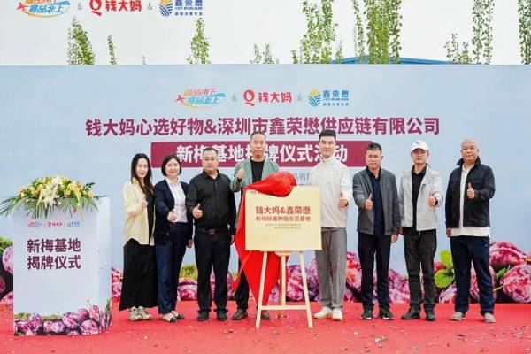 钱大妈携手鑫荣懋集团在新疆共建西梅基地