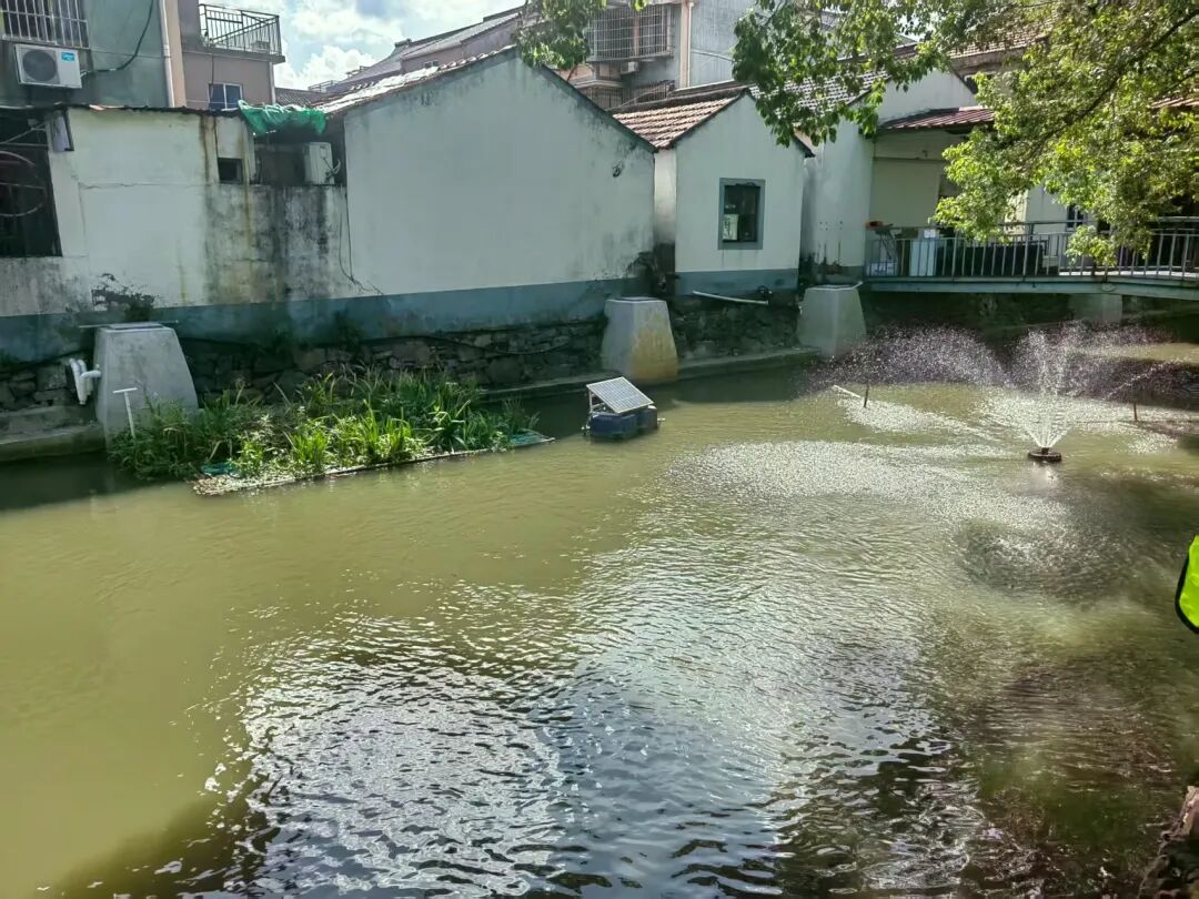 宁波镇海：凝聚多元合力 构建河道小微水体治理新格局