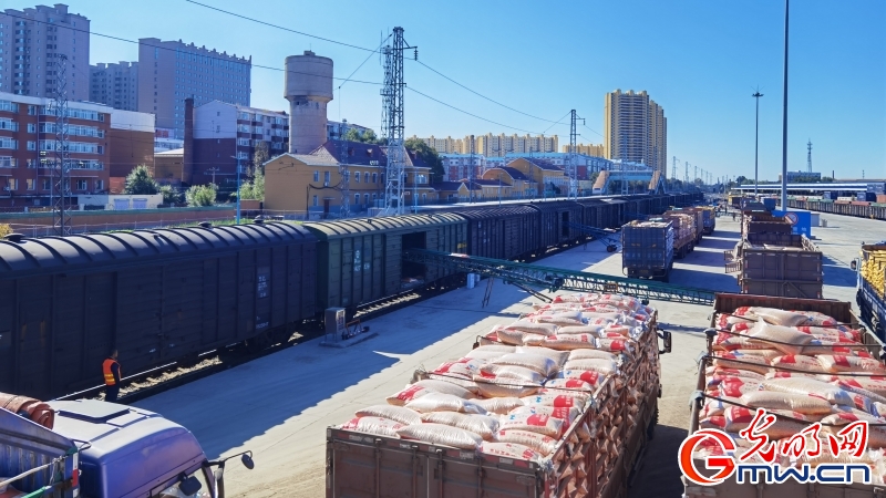 畅通北粮南运 国铁沈阳局有效解决粮食运输“最后一公里” 畅通北粮南运 国铁沈阳局有效解决粮食运输“最后一公里”