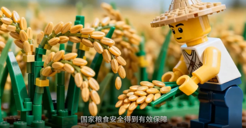 “十四五”这五年丨中国人的饭碗端得更牢、更有成色