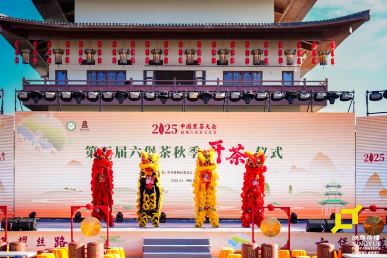 梧州税务：税韵添香 助力远航