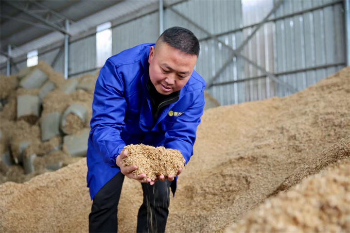 带着全村人创新创业 让“空壳村”奔“亿元村”|一位硕士“猪倌”的兴农路