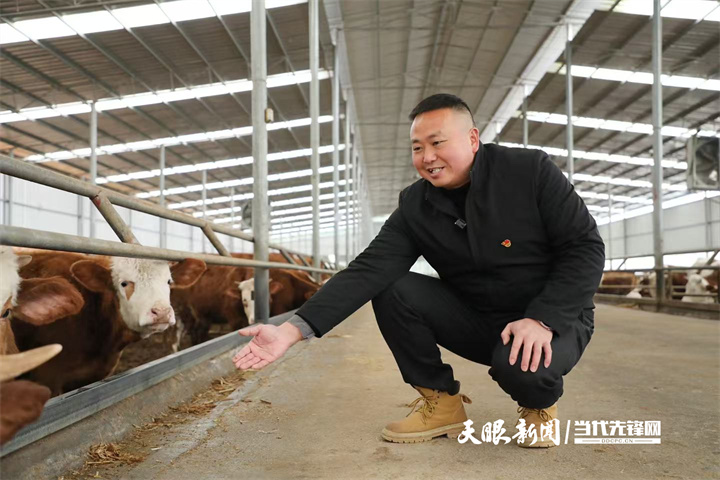 带着全村人创新创业 让“空壳村”奔“亿元村”|一位硕士“猪倌”的兴农路