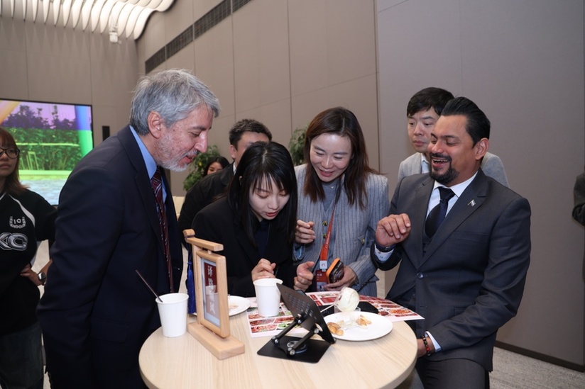 从“读懂天书”到“60秒出PPT”：阿里千问“圈粉”12国外交官