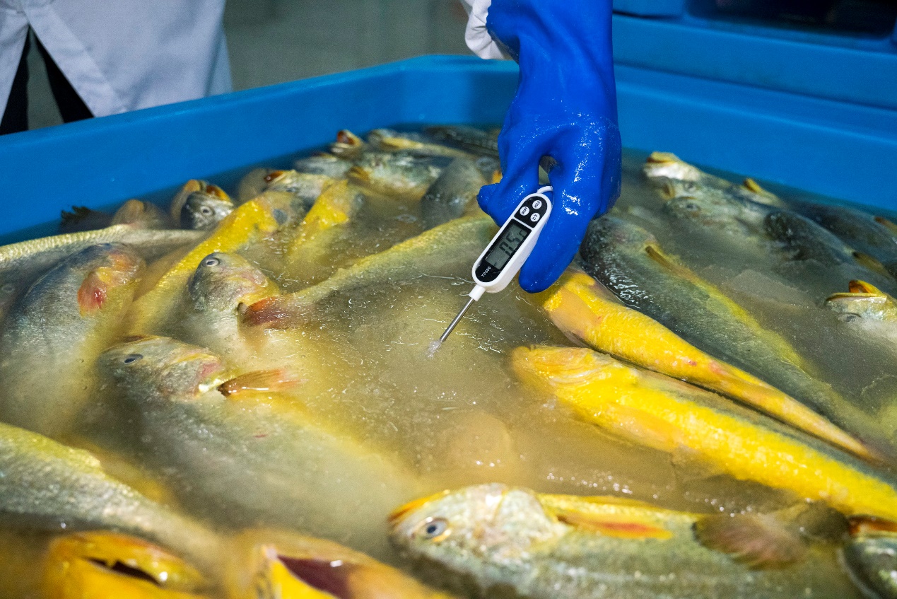 大黄鱼依托即时零售加速打通最后一公里