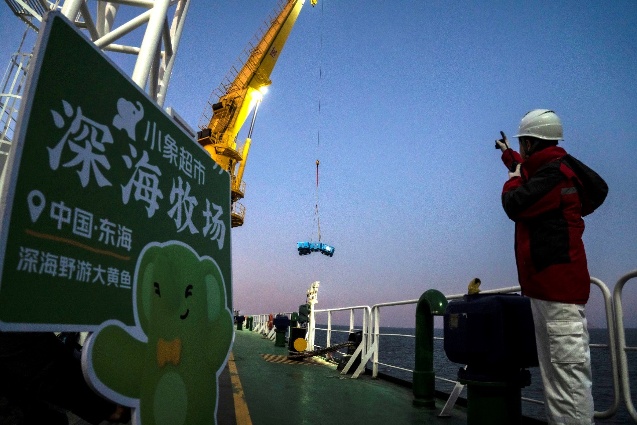 大黄鱼依托即时零售加速打通最后一公里