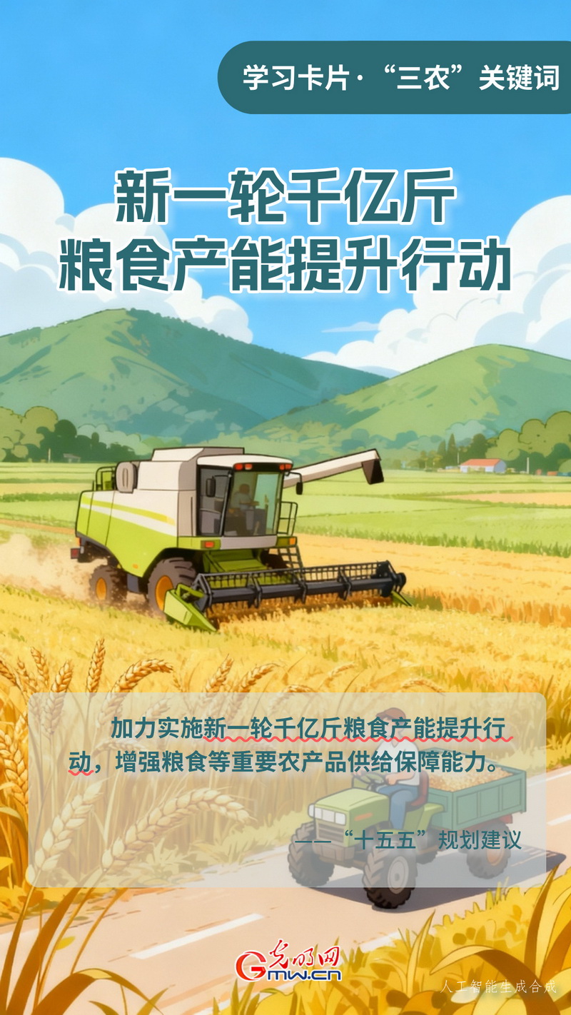 学习卡片·“三农”关键词丨新一轮千亿斤粮食产能提升行动 学习卡片·“三农”关键词丨新一轮千亿斤粮食产能提升行动