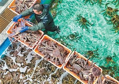 25项跨境贸易便利化措施全国推广