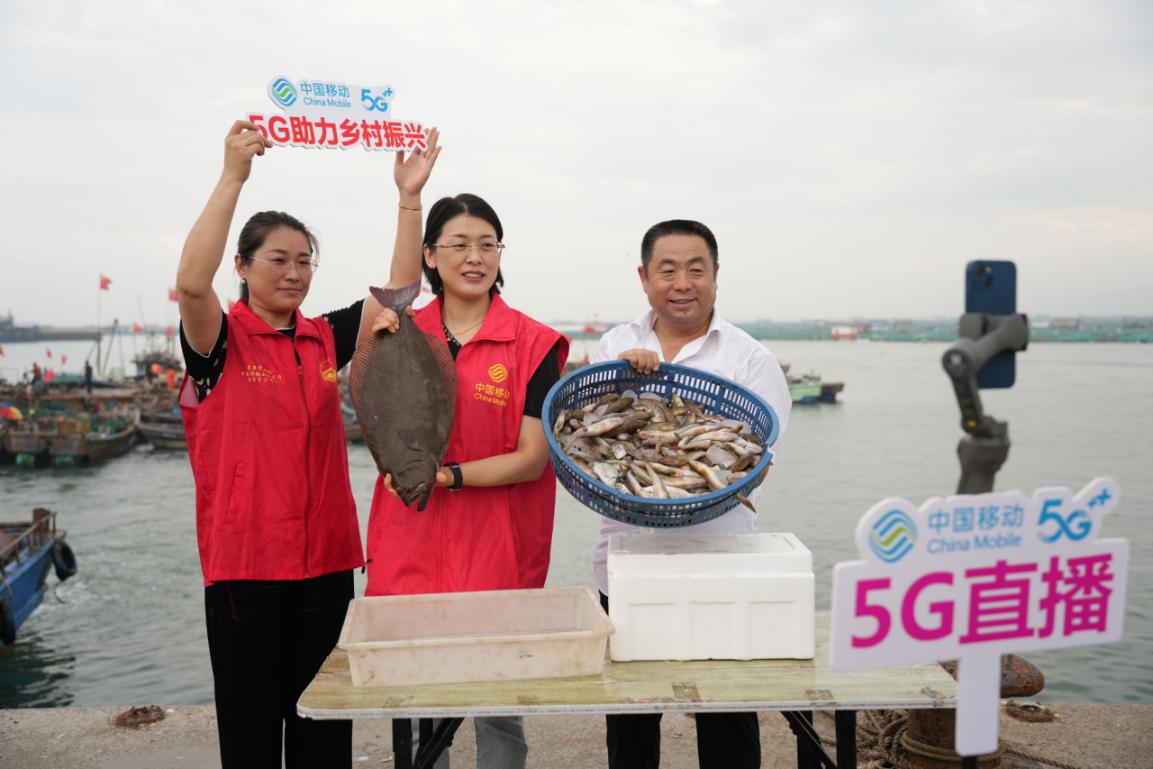 渔港声声“智”波远