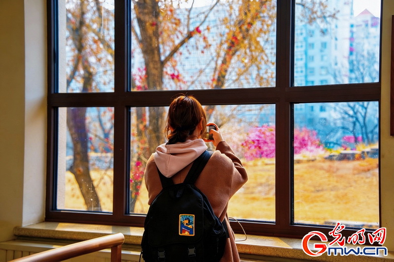 候车也能赏春景 北京站解锁“文化+出行”春日新玩法