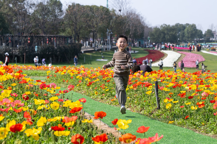 春暖花开竞争艳