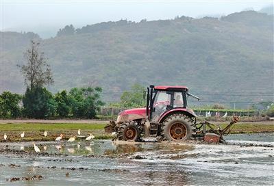 农业农村经济保持良好发展势头