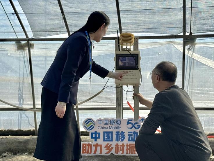 数字赋能田间焕新颜 智慧大棚托起菜农增收新希望