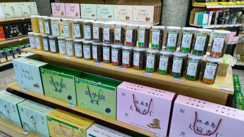 发现最美铁路丨京哈高铁全线贯通5周年 沿线发展焕新篇