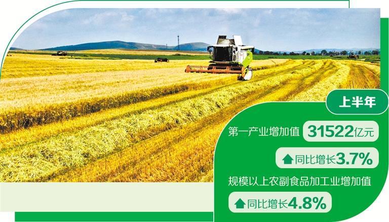 农业向好夯实经济底盘