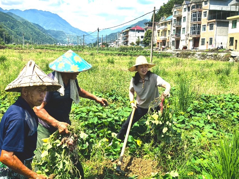 阿里巴巴“乡村特派员”项目荣获第十三届中华慈善奖