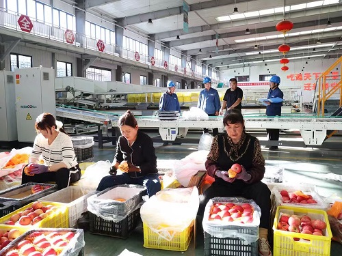国网通渭县供电公司：电力赋能红果飘香 护航产业振兴乡村