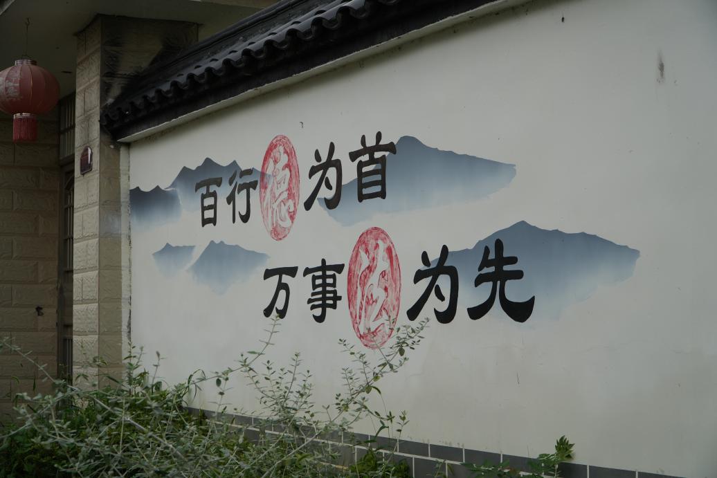 一盏花灯照亮一方乡土