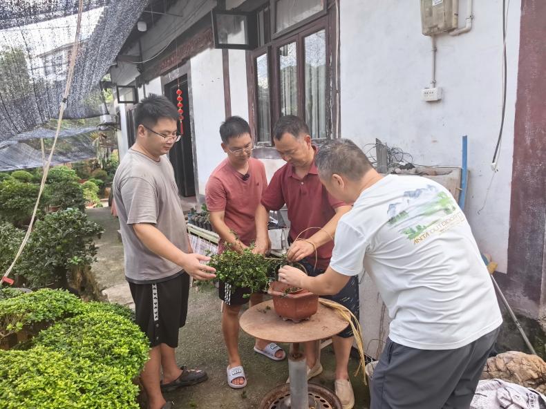 绕了一圈 他还是回到了盆景旁