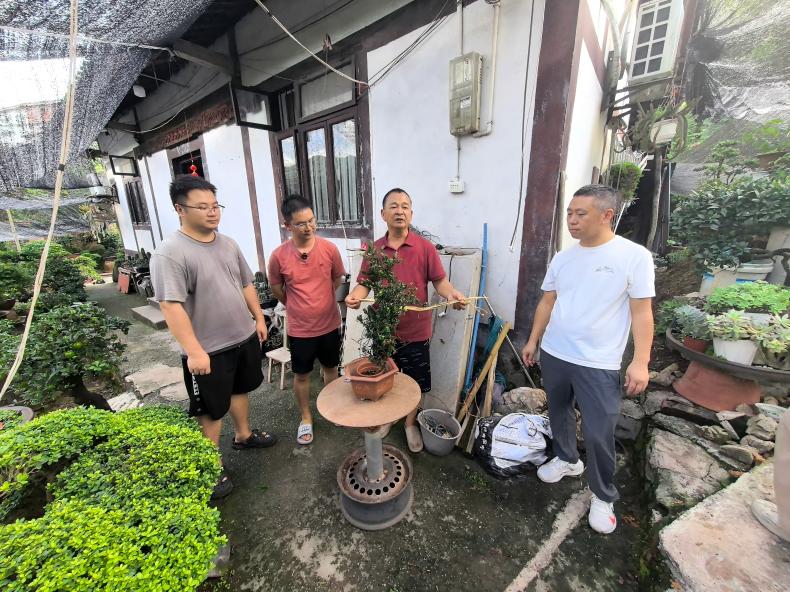 绕了一圈 他还是回到了盆景旁