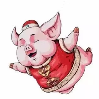 二师兄“C位出道”，咱们一起来聊聊~