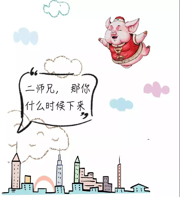 二师兄“C位出道”，咱们一起来聊聊~