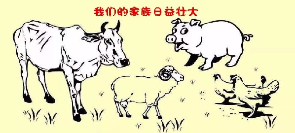 二师兄“C位出道”，咱们一起来聊聊~