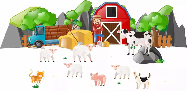 二师兄“C位出道”，咱们一起来聊聊~