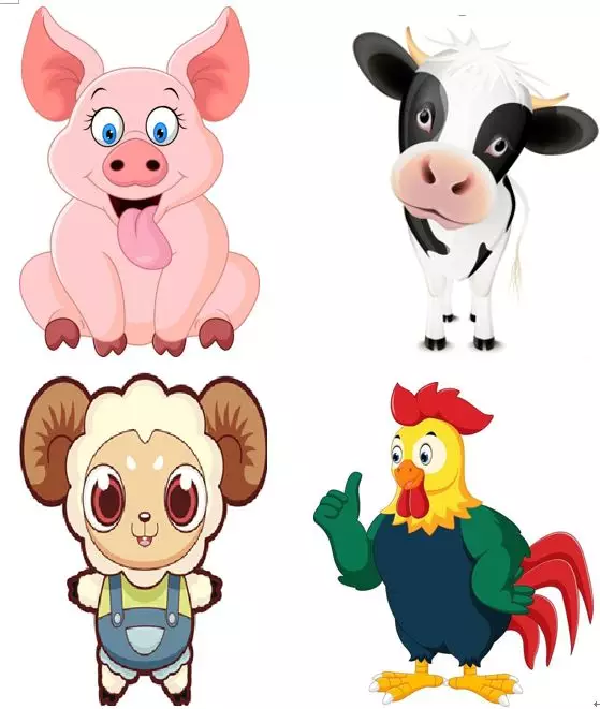 二师兄“C位出道”，咱们一起来聊聊~