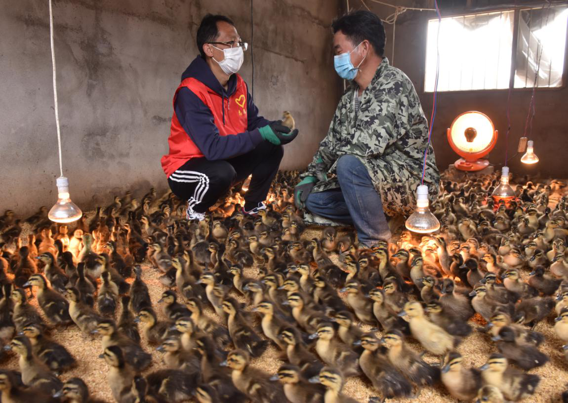 国家发改委：允许地方根据疫情发展情况 有条件地放开活禽交易