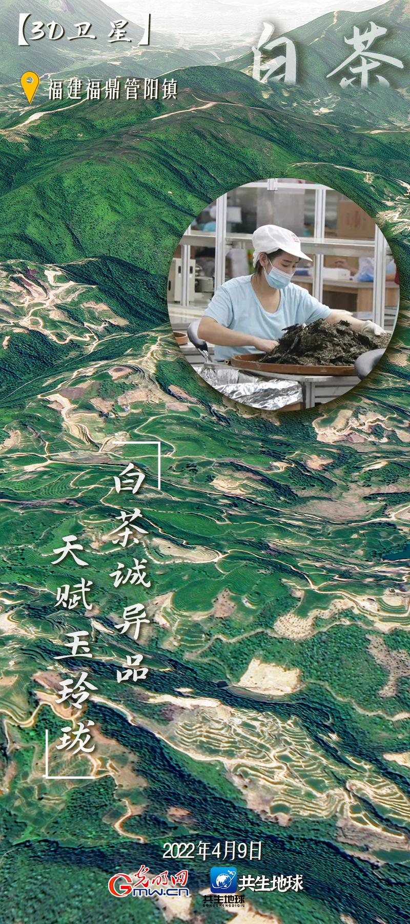 【3D卫星】“中国茶”申遗成功！卫星视角“瞰”我国六大茶类主产地